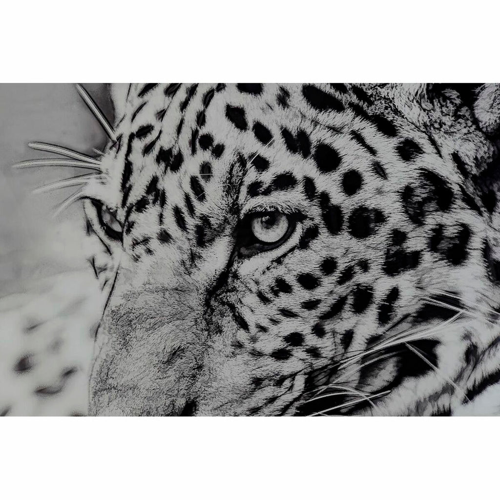 V12HA099171AA3B191778D3E173C36D55CCAR6371989P2